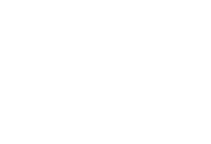 ARADII Wardrobe logo