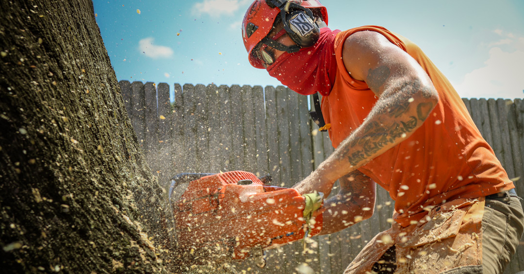 Arborist cutting a tree while wood chips move through the air